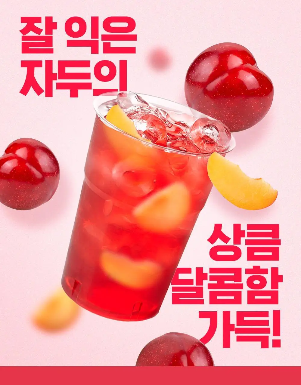 [올영 단독 선런칭] 티젠 콤부차 (자두/멜론) 10+2 기획 상세페이지 4
